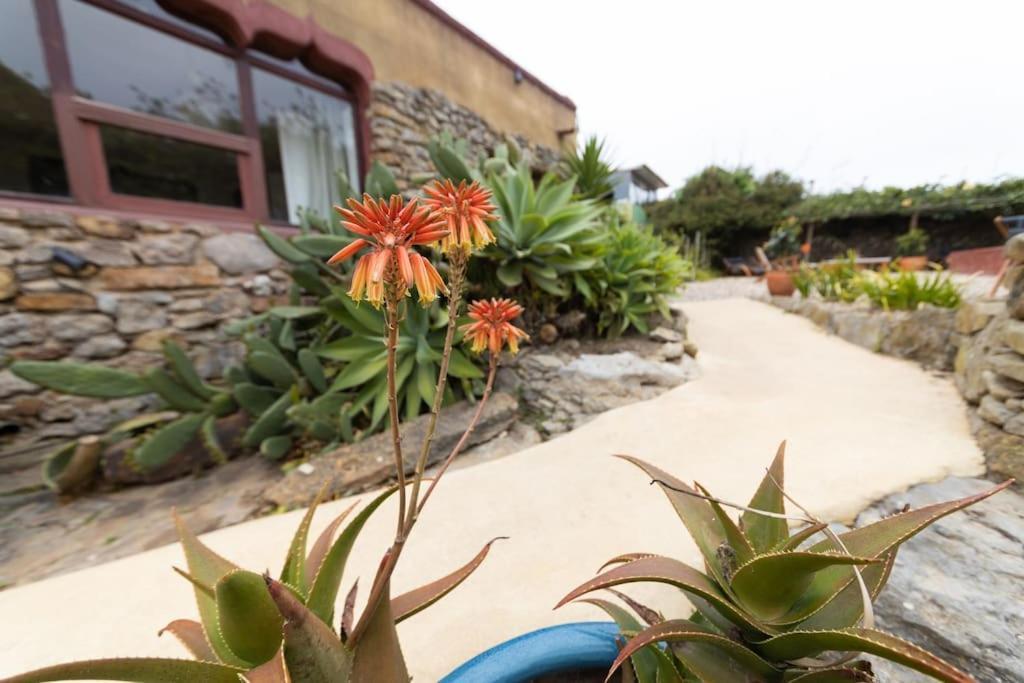 Alma Do Paco Bed & Breakfast Santo Isidoro Luaran gambar
